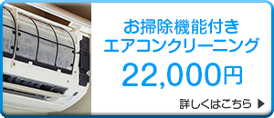 お掃除機能付きエアコン